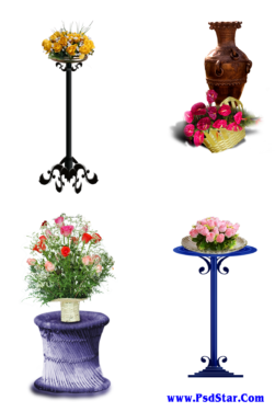 Modern Flowerpot for Photo Studio