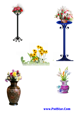 Png Transparent background flowerpot download