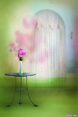 photoshop studio background 4×6 2018