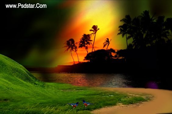Evening Natural Sunset HD Photo Background 2018