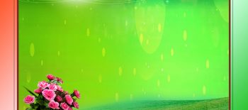 Independence-Republic Day Vertical Studio Background HD