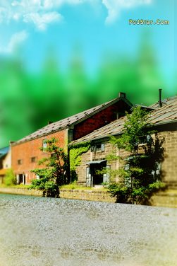 Natural Background with House Scene hd