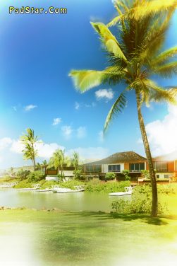 Natural Vetical background HD