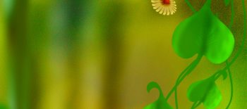 Abstract Studio background 2000×3000 resolution