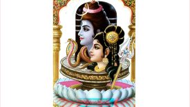 Lord Shiva and Parvati maa half photo