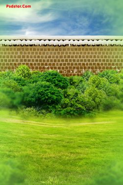 Nature Vertical Standing Background for Photoshop full hd