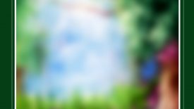 Outdoor Blur HD Portrait Background PsdStar