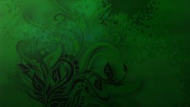 simple hd Studio Background Green color
