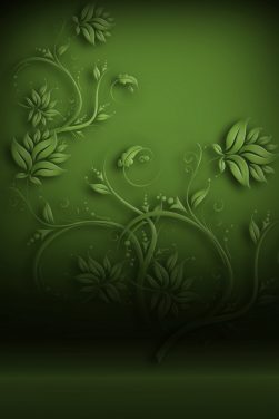 Green studio background simple hd