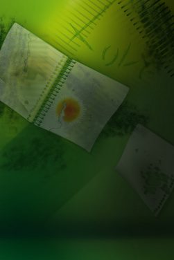 Green with Book hd Studio Background