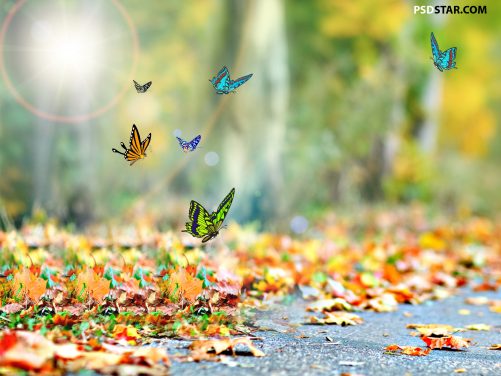 Horizontal Autumn Natural Background for Kids