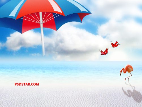 Natural Summer Background Cloud with Seashore