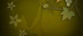 Very Simple hd Studio Background