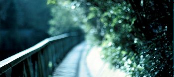 2019 blur bridge scene