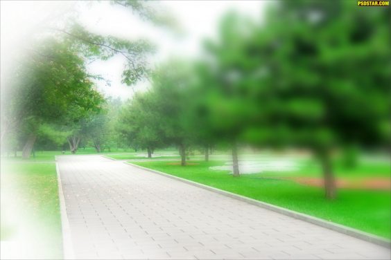 Blur park background with road 2019