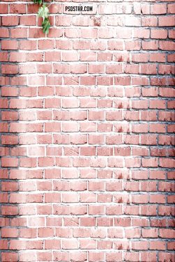 Brick Wall Red Background HD