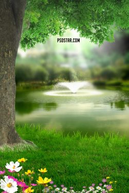 Natural Portrait Background with tree hd 2019