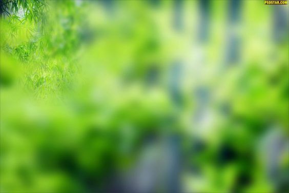 green 2019 blur background horizontal