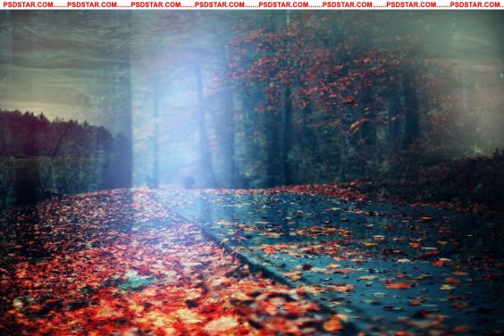 photoshop templates for photographers free download 2