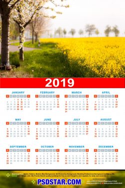 2019 Calendar hd template 12×18 300 dpi