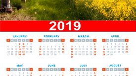 2019 Calendar hd template 12×18 300 dpi