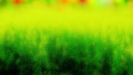 Natural Colorful Blur Background