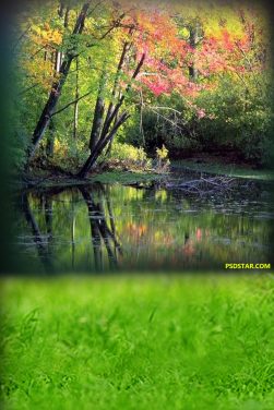 Natural Studio Background Scene