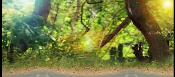 back drop images