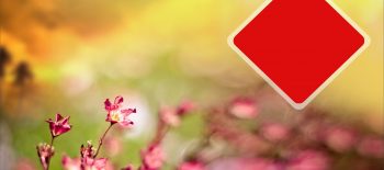 blur image online