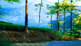 photography background images