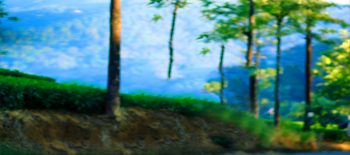 photography background images