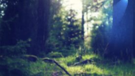 photoshoot background images
