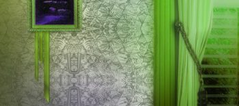 digital backgrounds for photography