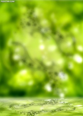 wallpapers and backgrounds