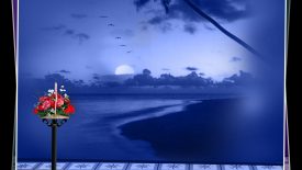 photo background studio