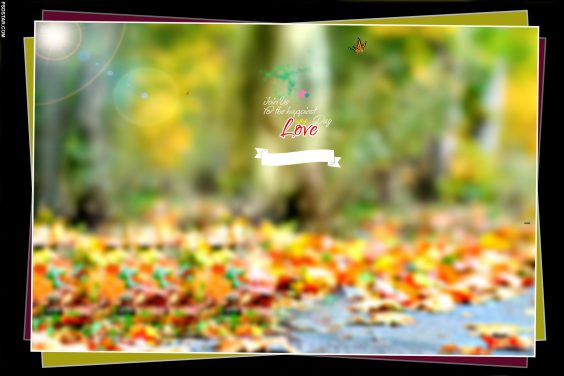 Automn with Blur Background 1