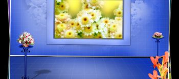 Baby Landscape Studio Background