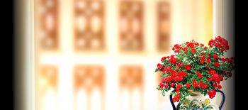 Blur Background with Flower Pot