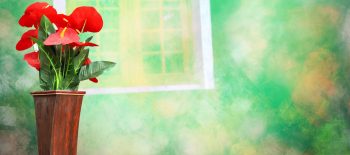 Indoor Green Texture Background