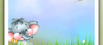 Natural Outdoor Photo Background