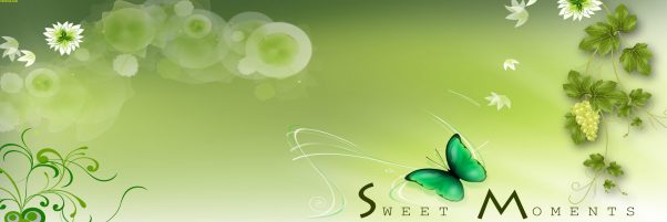 canvera album template