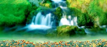 new photo studio background with nature