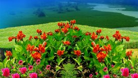 picsart background 2020 nature with