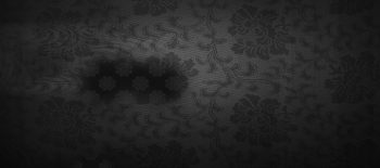 Black Background Karizma Album