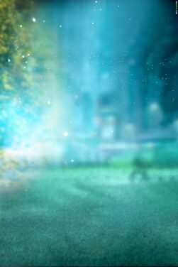 Blurry Misty Forest with Sparkling Stars